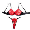 Embroidered Splicing Love Mesh Sexy Underwear Erotic Two Piece Set